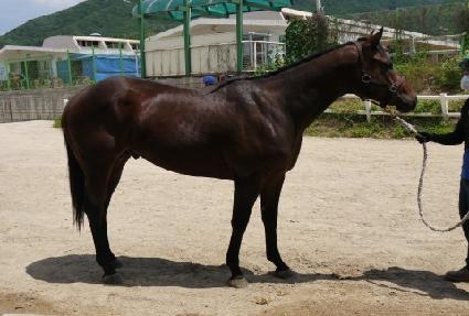 ��ü�ο��� ����