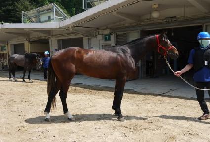 õ�Ϻ� ����