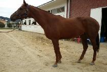 �ٴٹٶ� (BADA BARAM) ����