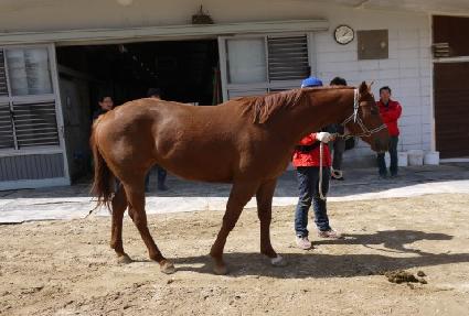 ����ķ�� ����