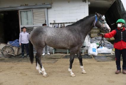 ���̽����Ǵ� ����