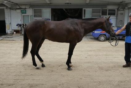 �뼺���� ����