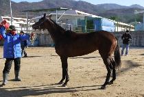 ���Ŭ�� (HUIMANG CLUB) ����