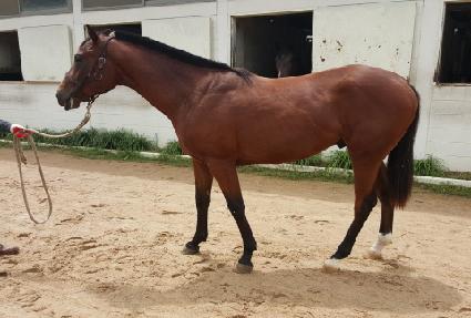 ������� ����