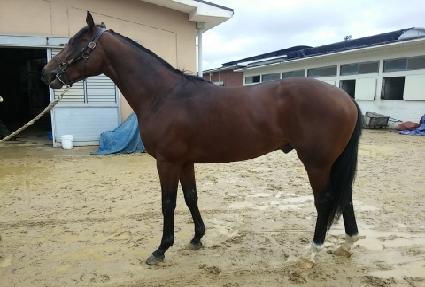 �������� ����