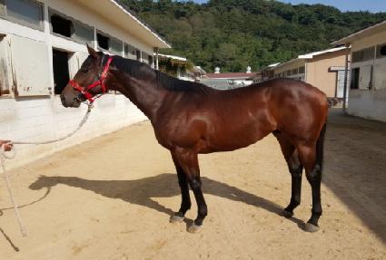 �������� ����