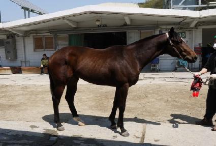 ���̾�ƮƯ�� ����