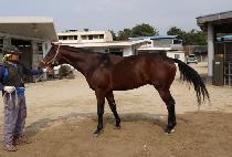 ������Ӵ� (SHADOW MONEY) ����