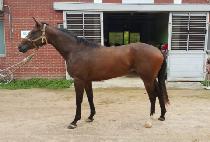 ���Ϳ����� (ENTER WAY QUEEN) ����