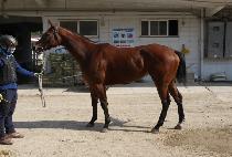 ����ȣ (DEOKSAMHO) ����