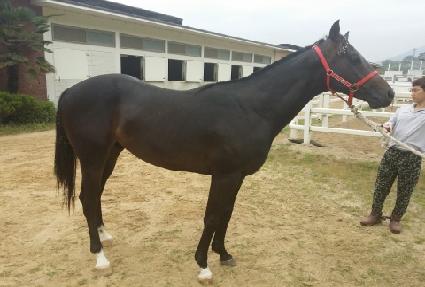 ��Ÿ���� ����