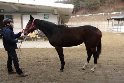 ���帶ũ ����