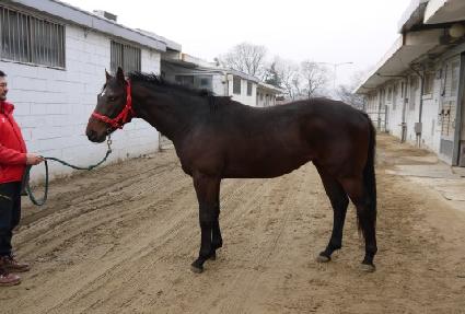 �Ŀ����� ����