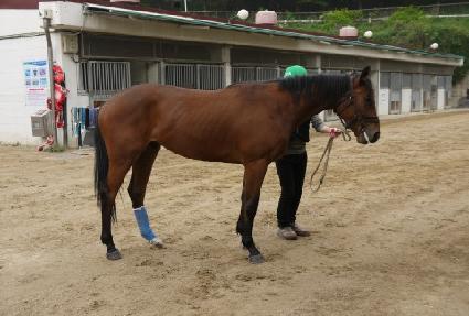 �׸���� ����