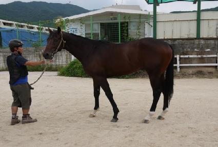 �������帲 ����