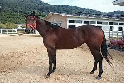 ��õ���� ����