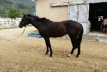 ��ܹ� (LOOK AT ME) ����