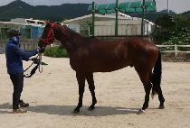 �������丮 (WELLBEING STORY) ����