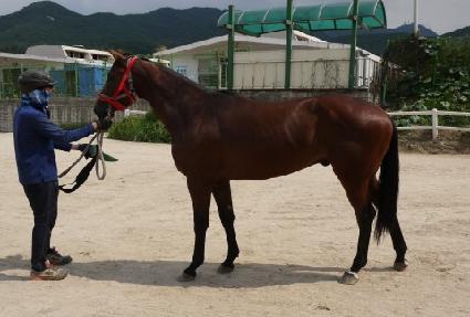 �������丮 ����