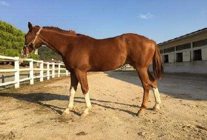 ������ ����