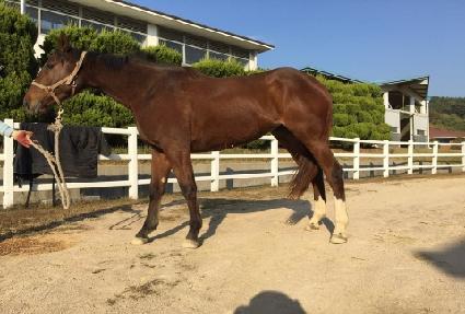 �����̿����� ����