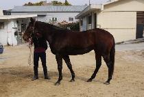 �������丮�� (SAMJEON IMPERIAL) ����