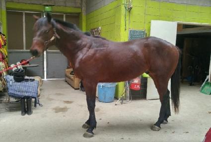 �÷θ��ٿ��� ����