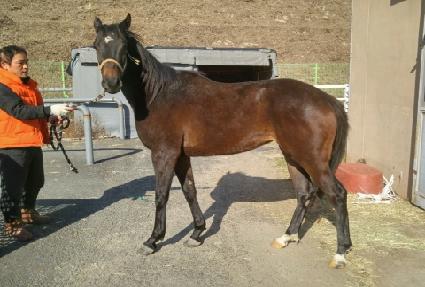 ���̺�ī ����