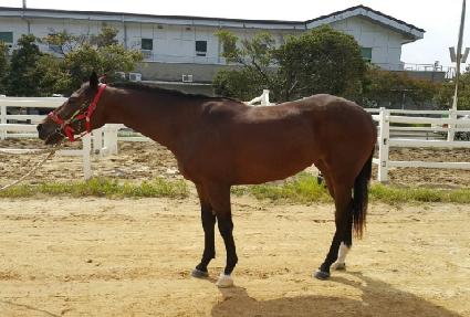 �������� ����