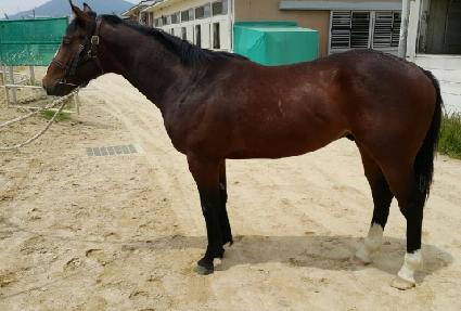 ����Ʈ��Ʋ�� ����