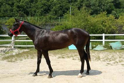 �帲���� ����