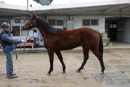 ���緣�� ����