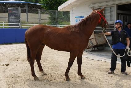 ŷ�÷�Ű ����