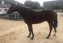 WISH ME LUCK picture