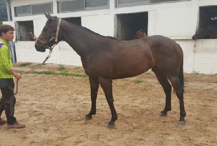 ����Ĩ ����