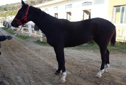 �ӽ�Ʈ�� ����