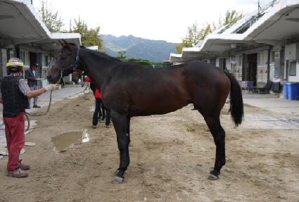 ������ ����