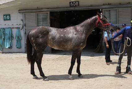 �ֵ��� ����