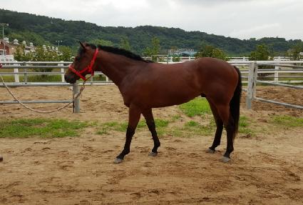 �ö��׳�Ƽ ����