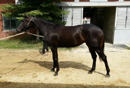 Ȳ�ݸ��� ����