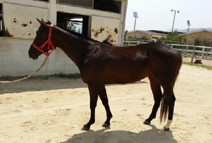 ũ���ĸƾ ����