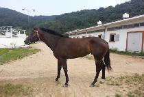 FIGHTER REAT picture