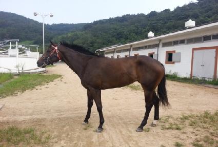 �����͸�Ʈ ����