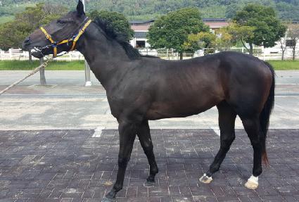 ��ũȣ��Ÿ ����