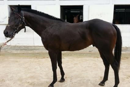 �¸������� ����