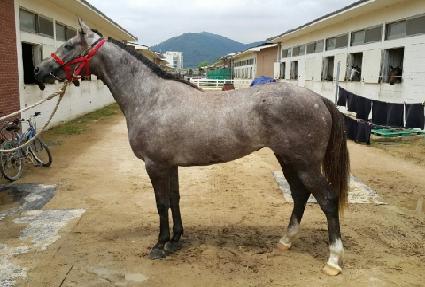 ��»��佺 ����