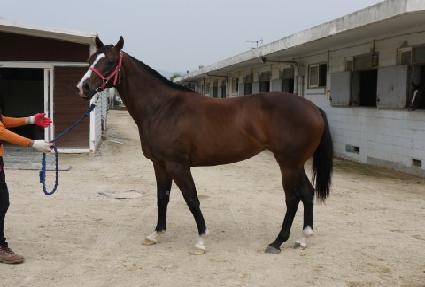 ��¾Ƹ� ����