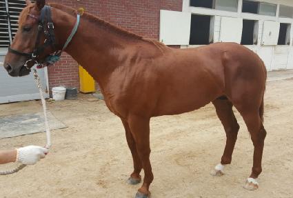 ��º��� ����