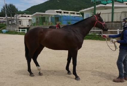 ��³��� ����