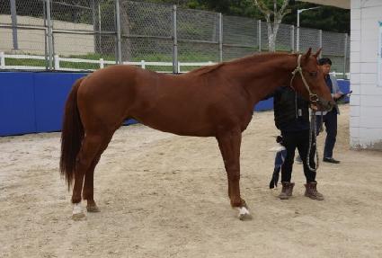 �����Ŀ� ����